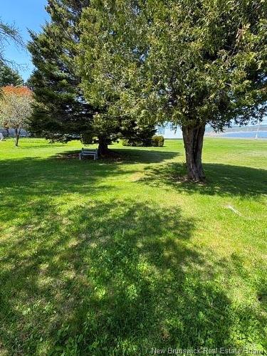 94 Chaleur St, Charlo, NB 