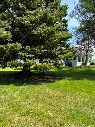 94 Chaleur St, Charlo, NB 