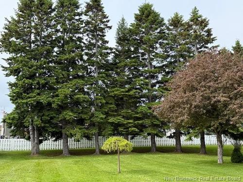 94 Chaleur St, Charlo, NB 