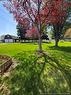 94 Chaleur St, Charlo, NB 