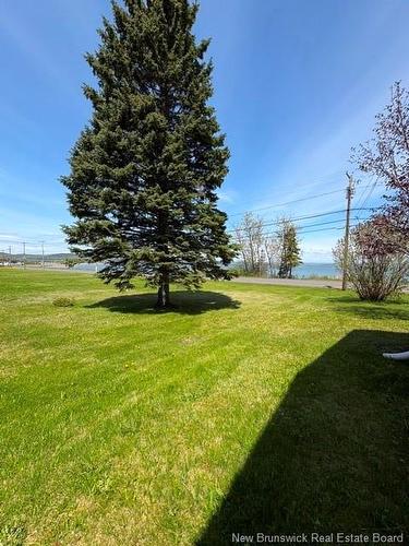 94 Chaleur St, Charlo, NB 