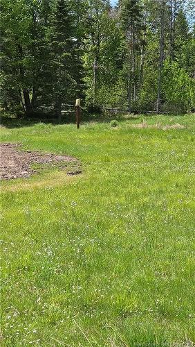 75 Tamtrev Crt, Waasis, NB 