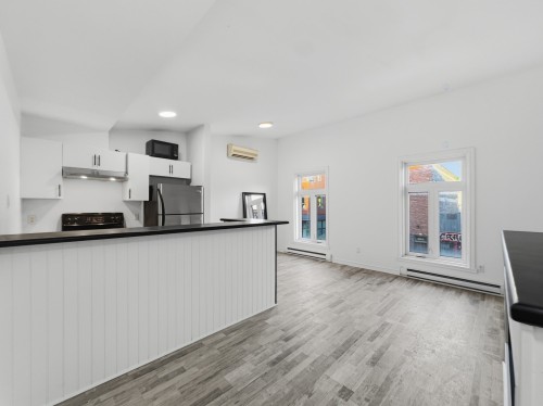 Vue d'ensemble - 1809 Rue Ontario E., Montréal (Ville-Marie), QC - Indoor Photo Showing Kitchen