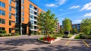 Façade - 310-230 Ch. Du Golf, Montréal (Verdun/Île-Des-Soeurs), QC  - Outdoor With Facade 