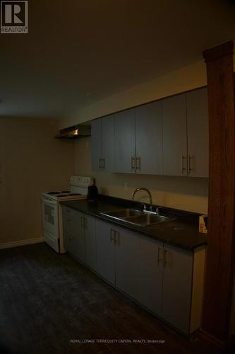 Lower - 73 Hickory Heights Crescent, Kitchener, ON - Indoor Photo Showing Kitchen With Double Sink
