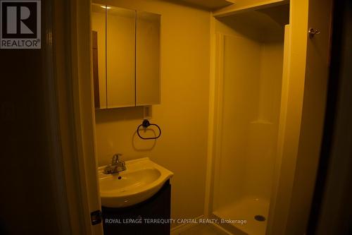 Lower - 73 Hickory Heights Crescent, Kitchener, ON - Indoor Photo Showing Bathroom