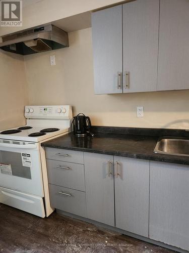 Lower - 73 Hickory Heights Crescent, Kitchener, ON - Indoor Photo Showing Kitchen