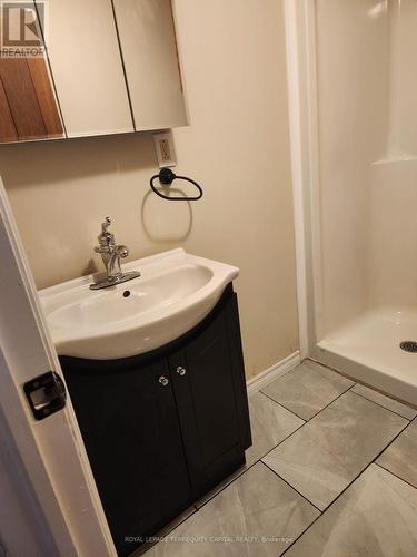 Lower - 73 Hickory Heights Crescent, Kitchener, ON - Indoor Photo Showing Bathroom