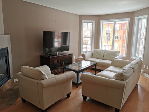 Living Room - 66 Rue Daguerre, Candiac, QC - Indoor Photo Showing Living Room With Fireplace