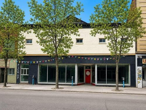 507 Victoria Ave E, Thunder Bay, ON 