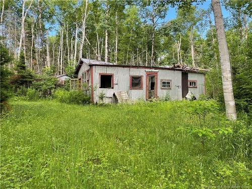 755 Cape Road, Newburg, NB 
