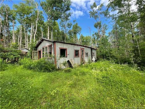 755 Cape Road, Newburg, NB 