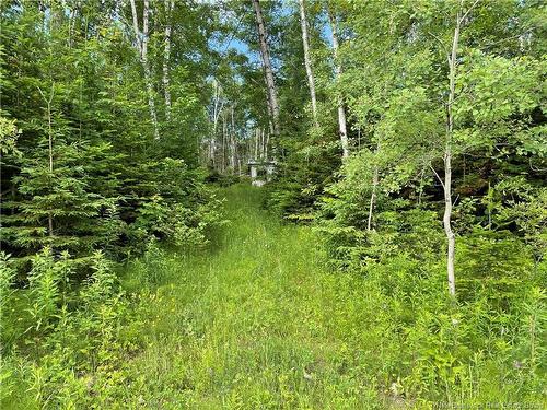 755 Cape Road, Newburg, NB 