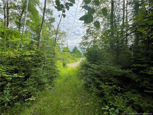 755 Cape Road, Newburg, NB 