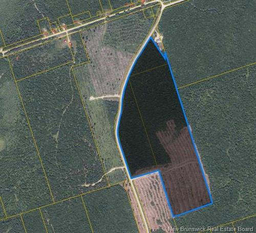 Lot Weaver Siding Rd, Upper Blackville, NB 