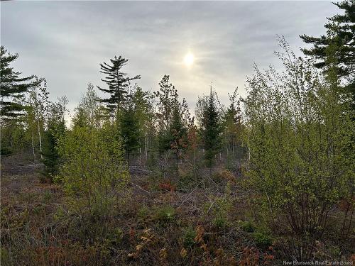 Lot Weaver Siding Rd, Upper Blackville, NB 