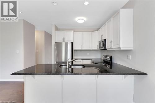290 Apple Hill Crescent, Kitchener, ON - Indoor Photo Showing Kitchen With Double Sink With Upgraded Kitchen