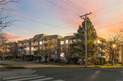 #305-405 Quebec St Victoria, BC V8V 4Z2