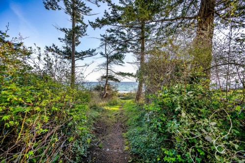 1551 Kye Bay Rd, Comox, BC 