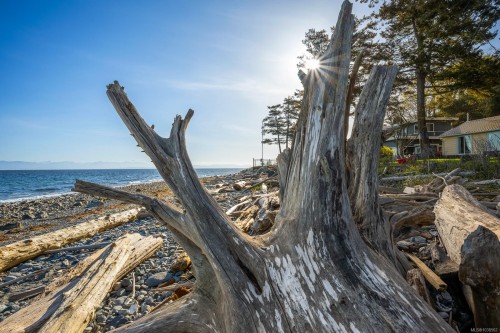 1551 Kye Bay Rd, Comox, BC 