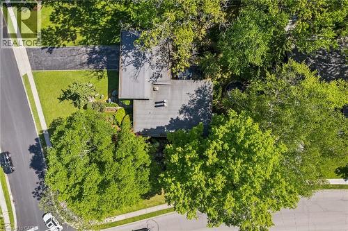 16 Parkwood Drive, Cambridge, ON - Outdoor