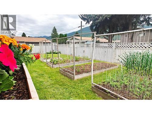 Backyard of 275 10th Avenue, Montrose BC - 275 10Th Avenue, Montrose, BC - Outdoor