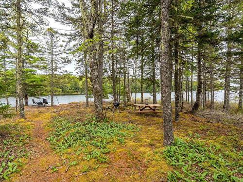 65 Eagle Rock Drive, Franey Corner, NS 