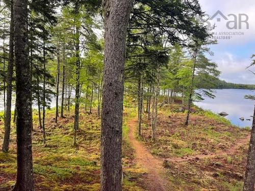 65 Eagle Rock Drive, Franey Corner, NS 