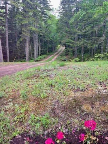 65 Eagle Rock Drive, Franey Corner, NS 