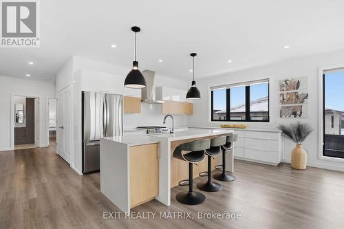 225 Nature Street, Casselman, ON - Indoor Photo Showing Kitchen With Upgraded Kitchen