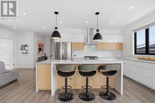225 Nature Street, Casselman, ON - Indoor Photo Showing Kitchen With Upgraded Kitchen