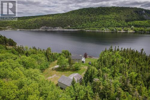 41 Lakeview Drive, Georges Lake, NL - Outdoor With Body Of Water With View