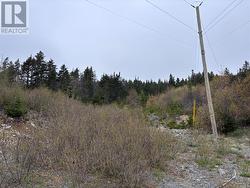 0 Whalefinn Drive Spaniards Bay, NL A0A 3X0