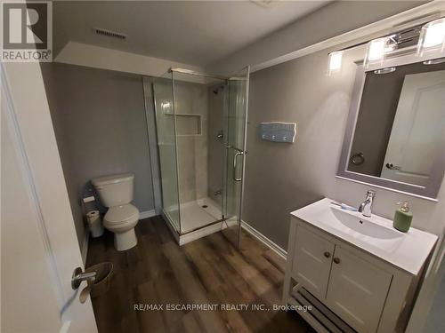 85 Showcase Drive, Hamilton, ON - Indoor Photo Showing Bathroom