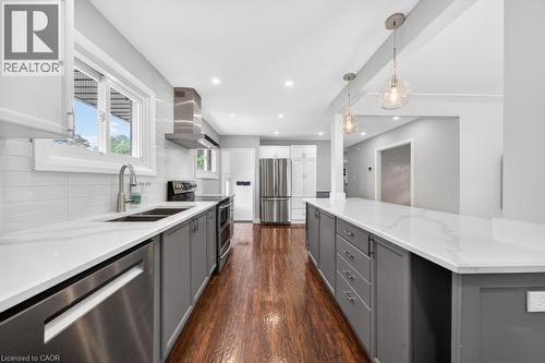 118 West 33Rd Street, Hamilton, ON - Indoor Photo Showing Kitchen With Double Sink With Upgraded Kitchen