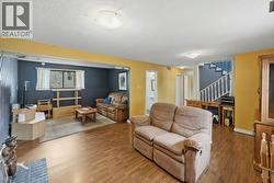 Lower level - family room & rec room - 
