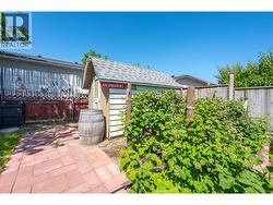 Garden shed with raspberry bushes - 