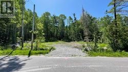 LT101 SILVER BIRCH DRIVE Tiny, ON L9M 0M5