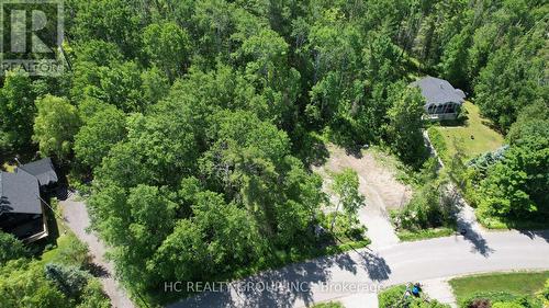 Lt101 Silver Birch Drive, Tiny, ON 