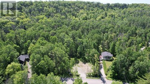 Lt101 Silver Birch Drive, Tiny, ON 