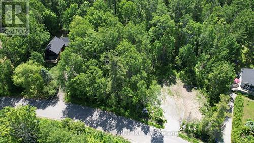 Lt101 Silver Birch Drive, Tiny, ON 
