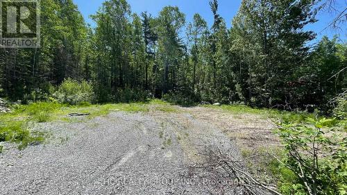 Lt101 Silver Birch Drive, Tiny, ON 