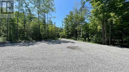 Lt101 Silver Birch Drive, Tiny, ON 