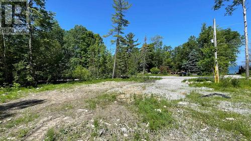 Lt101 Silver Birch Drive, Tiny, ON 