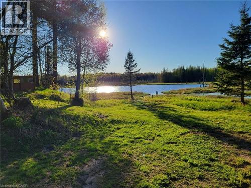 Expansive grassy landscape with a natural pond and dense tree lines - 1006 Hurdville Road, Mckellar, ON - Outdoor With View