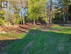 Expansive land parcel featuring dense mature trees and cleared areas - 
