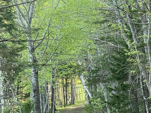 70 Whispering Pines Lane, North Range, NS 