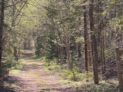 70 Whispering Pines Lane, North Range, NS 