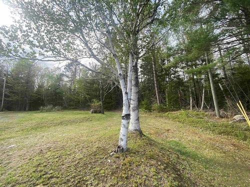 70 Whispering Pines Lane, North Range, NS 