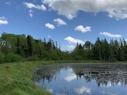 Lot CL1 Palmer Road West Wentworth, NS B0M 1Z0